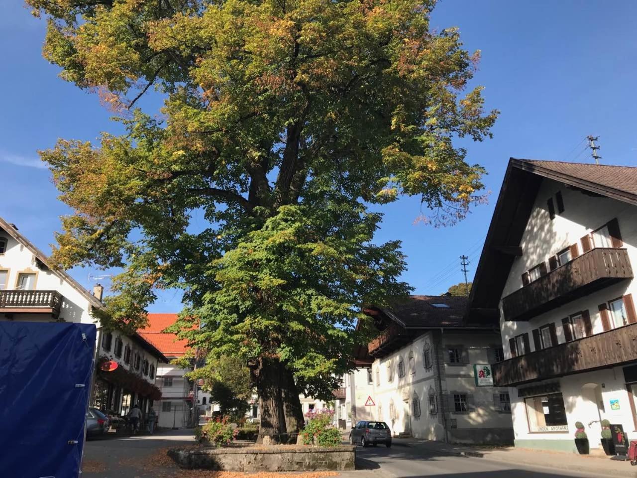 Am-Berg Ferienwohnung In Bad Kohlgrub Extérieur photo